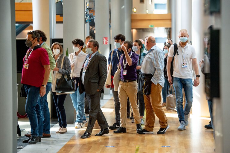 Conference on the Future of Europe (CoFoE) - Citizens' panel