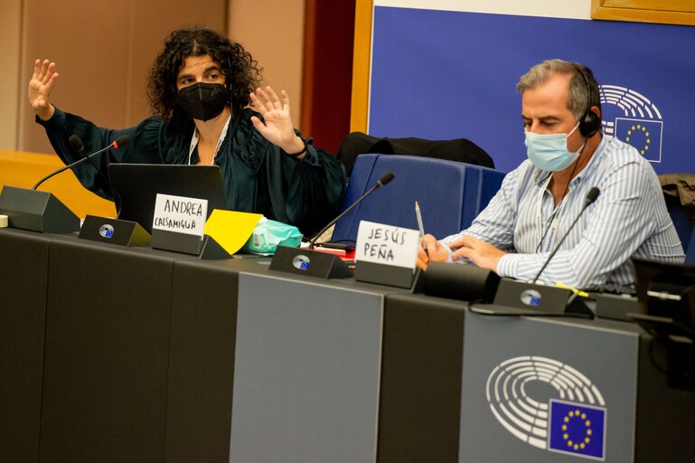 Photo 40 : Conference on the Future of Europe (CoFoE) - Citizens' panel 2