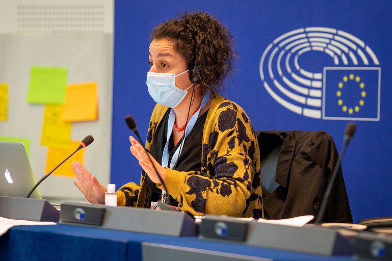 Photo 4 : Conference on the Future of Europe (CoFoE) - Citizens' panel 2