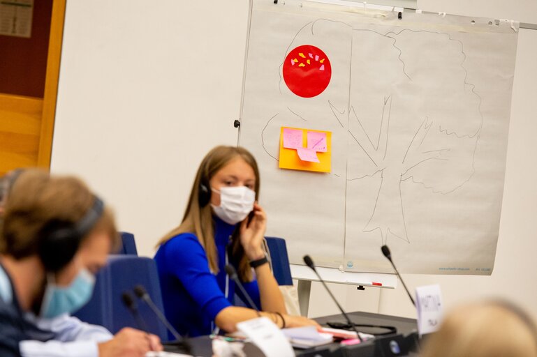 Photo 9 : Conference on the Future of Europe (CoFoE) - Citizens' panel 2