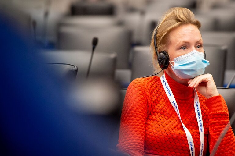 Billede 2: Conference on the Future of Europe (CoFoE) - Citizens' panel 1