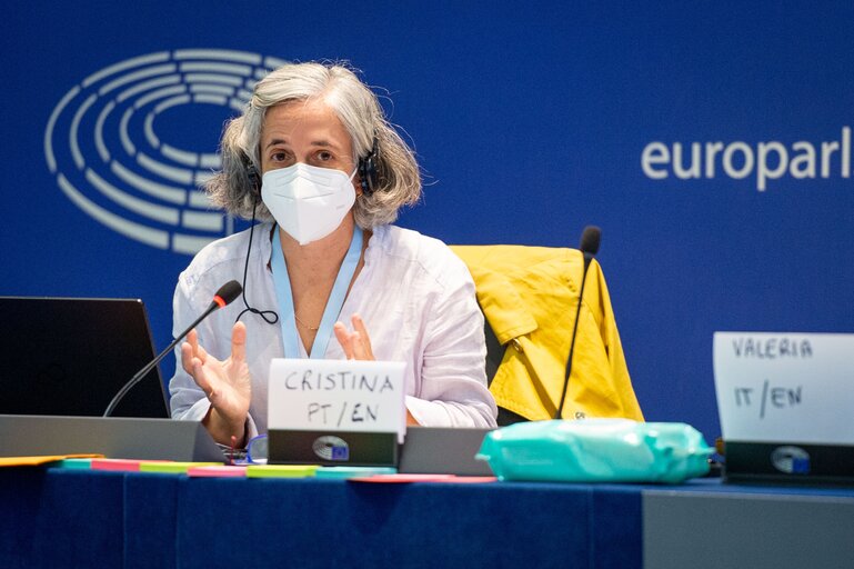 Photo 24 : Conference on the Future of Europe (CoFoE) - Citizens' panel 2