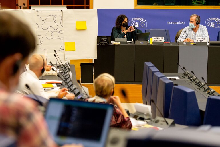 Photo 12 : Conference on the Future of Europe (CoFoE) - Citizens' panel 2