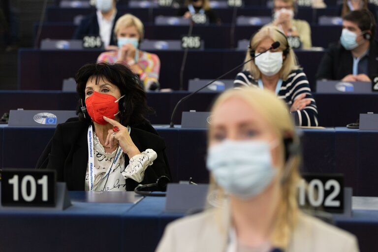 Foto 42: Conference on the Future of Europe (CoFoE) -  Citizens' panel 2 - Plenary session