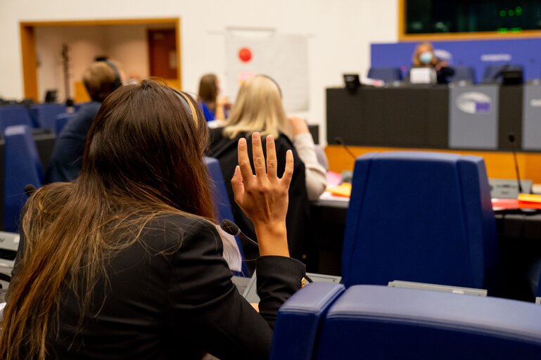 Photo 37 : Conference on the Future of Europe (CoFoE) - Citizens' panel 2