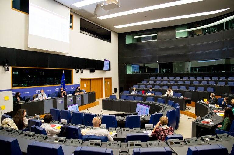 Photo 38 : Conference on the Future of Europe (CoFoE) - Citizens' panel 2