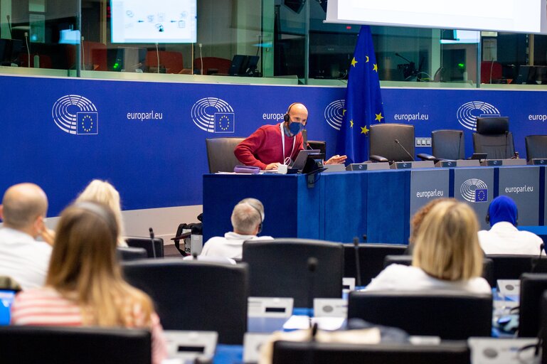 Billede 14: Conference on the Future of Europe (CoFoE) - Citizens' panel 1