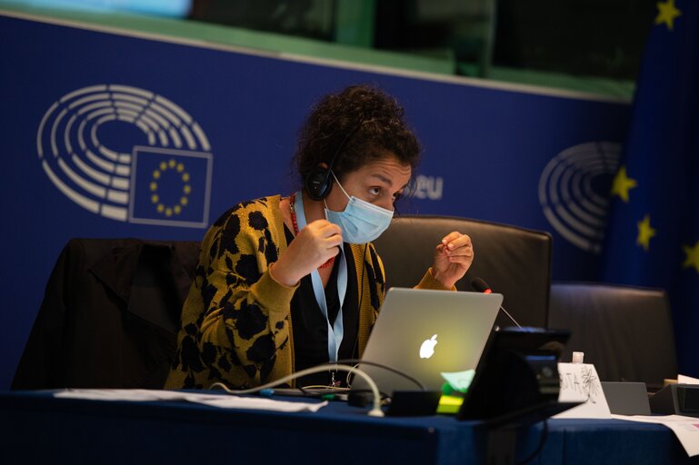 Photo 28 : Conference on the Future of Europe (CoFoE) - Citizens' panel 2