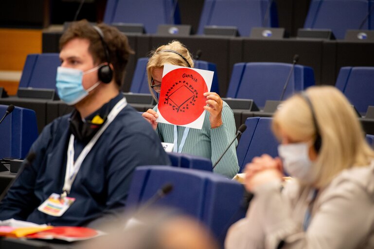 Photo 8 : Conference on the Future of Europe (CoFoE) - Citizens' panel 2