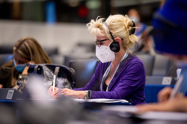 Billede 12: Conference on the Future of Europe (CoFoE) - Citizens' panel 1