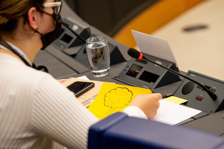 Photo 11 : Conference on the Future of Europe (CoFoE) - Citizens' panel 2