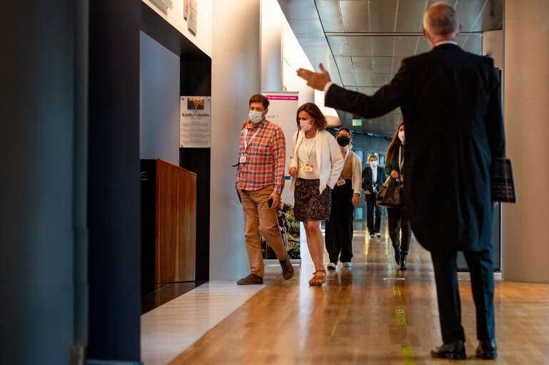 Conference on the Future of Europe (CoFoE) - Citizens' panel