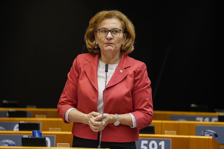 Fotografija 4: EP Plenary session - Macro-financial assistance to the Republic of Moldova