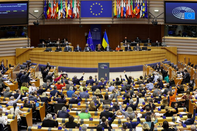 Foto 13: EP Plenary session- Voting session