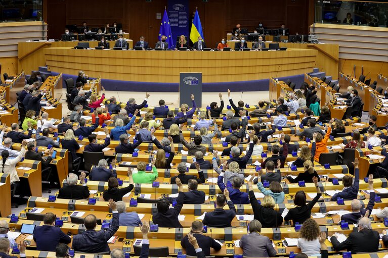 Fotografie 11: EP Plenary session- Voting session