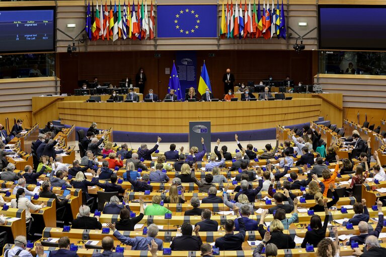 EP Plenary session- Voting session