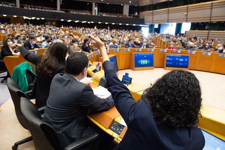 Photo 5 : EP Plenary session - Voting session