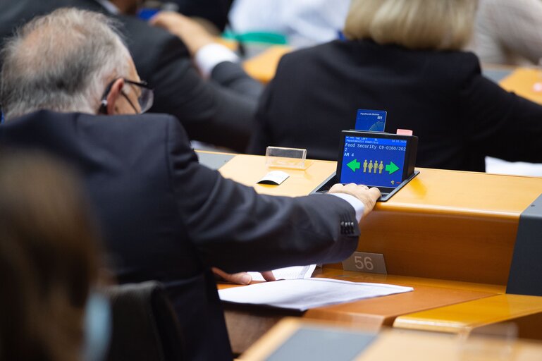 Foto 4: EP Plenary session - Voting session