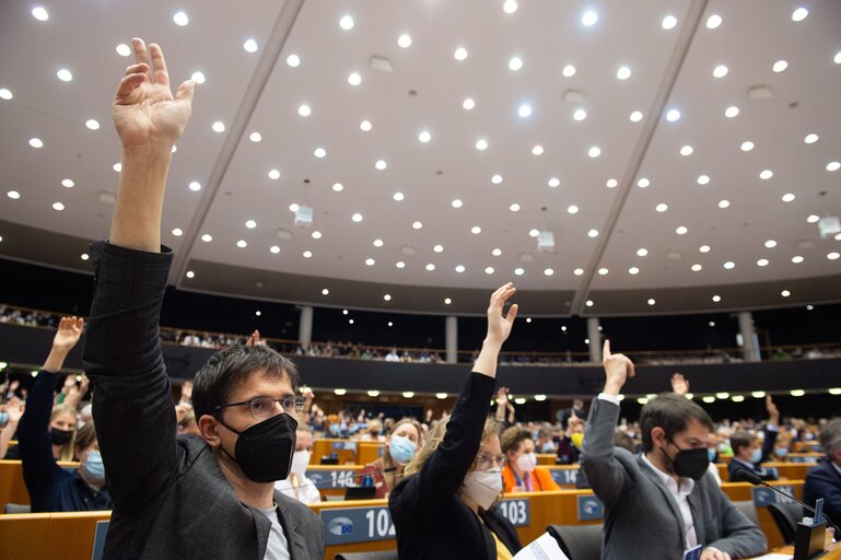 Foto 3: EP Plenary session - Voting session