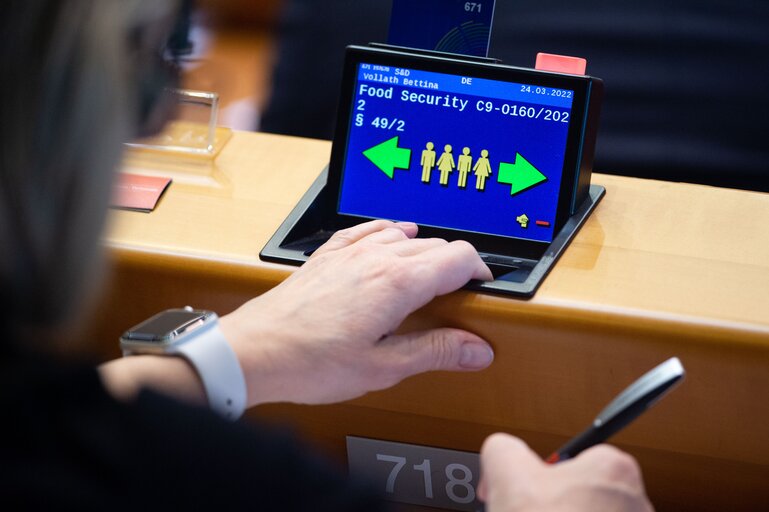 Photo 1 : EP Plenary session - Voting session