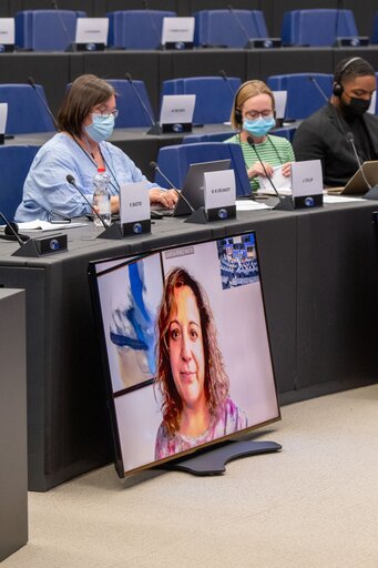 Photo 40 : Conference on the Future of Europe - Working Group meetings