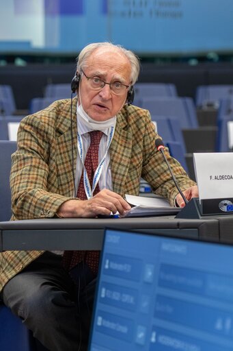 Fotografie 19: Conference on the Future of Europe - Working Group meetings