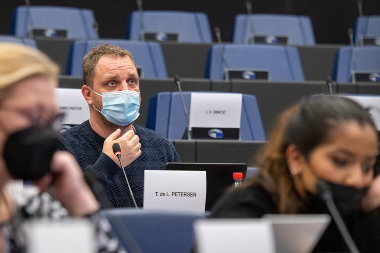 Fotografia 19: Conference on the Future of Europe - Working Group meetings