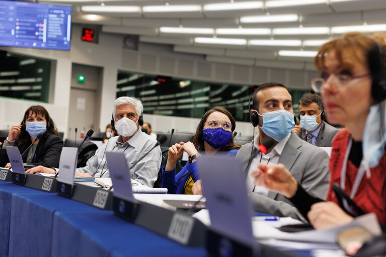 Fotografia 15: Conference on the Future of Europe - Working Group meetings