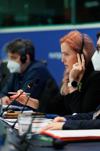 Photo 43 : Conference on the Future of Europe - Working Group meetings