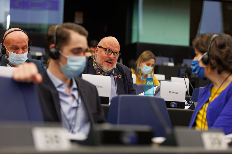 Photo 5 : Conference on the Future of Europe - Working Group meetings