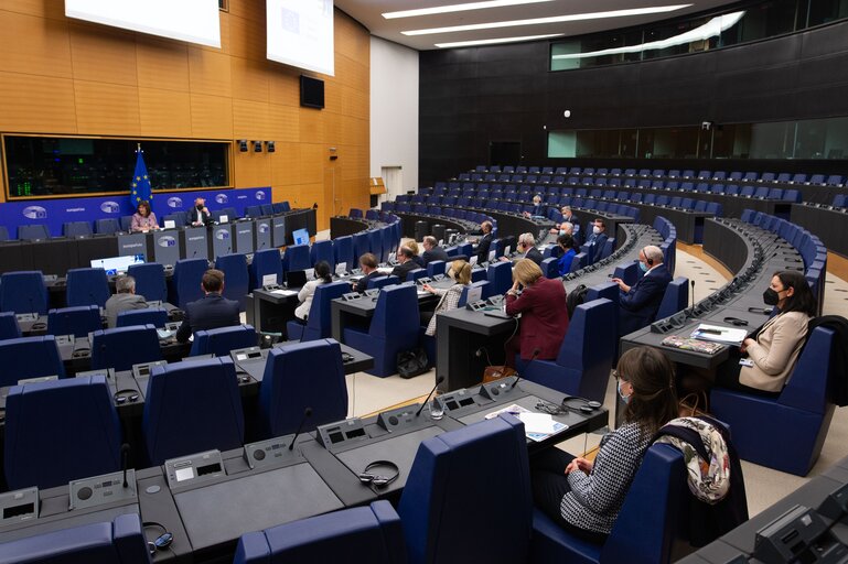 Conference on the Future of Europe - Caucuses Meetings