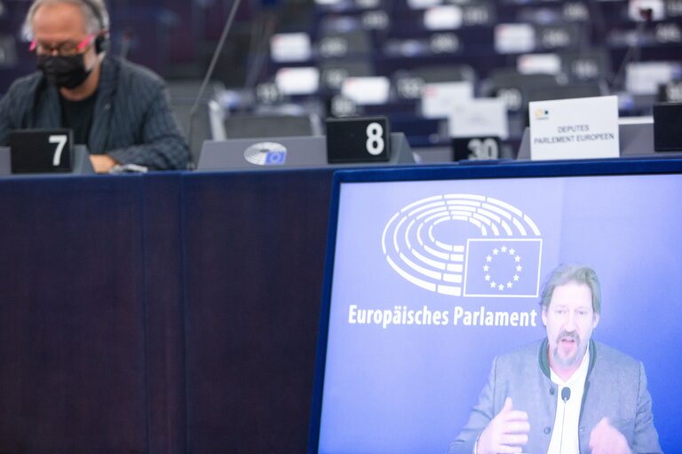 Снимка 19: Plenary Session - European Citizens' Initiative End the cage age