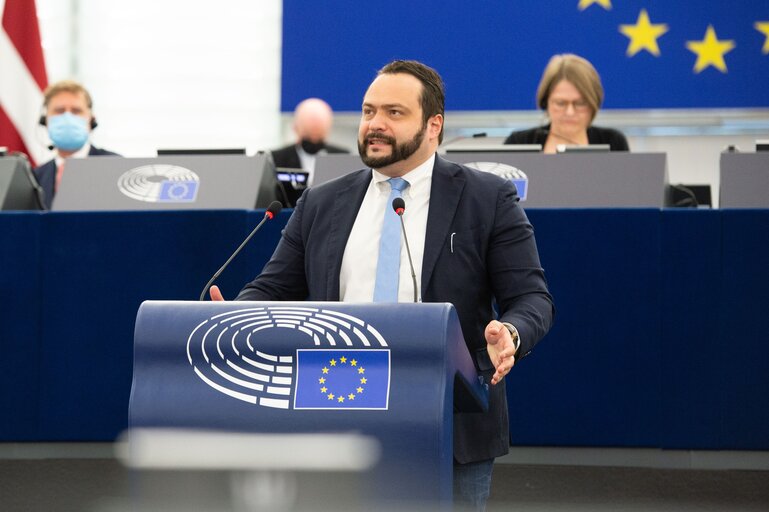 Fotografia 9: Plenary Session - The listing of German NGOs as 'undesirable organisations' by Russia and the detention of Andrei Pivovarov