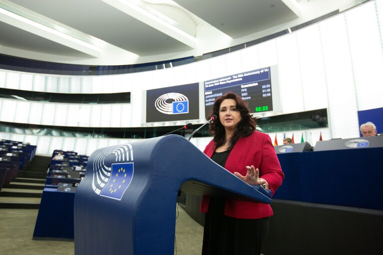 Foto 11: Plenary Session - The 80th Anniversary of 14-18 June 1941 Mass Deportations