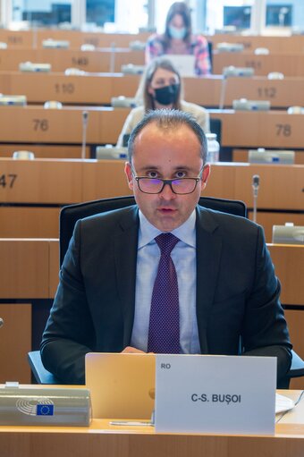 Fotografie 5: INGE Committee - Hearing on the Role of Social Media Platforms for spreading and developing disinformation and for detecting and countering it