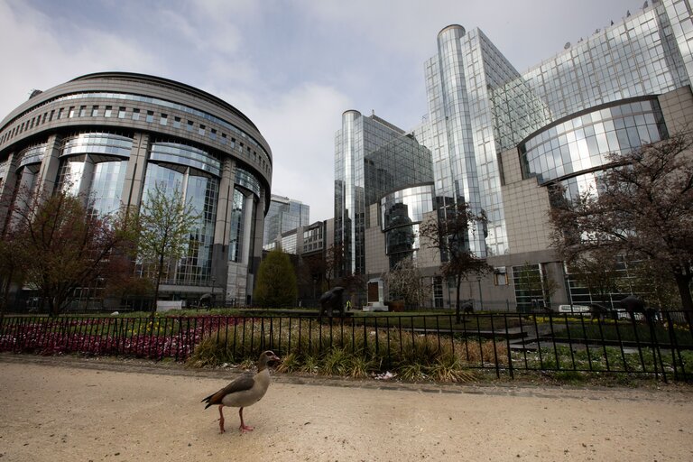 General views of several EP buildings in Brussels