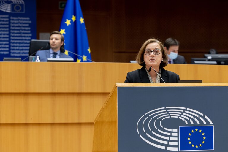 Φωτογραφία 1: EP Plenary session - Soil protection