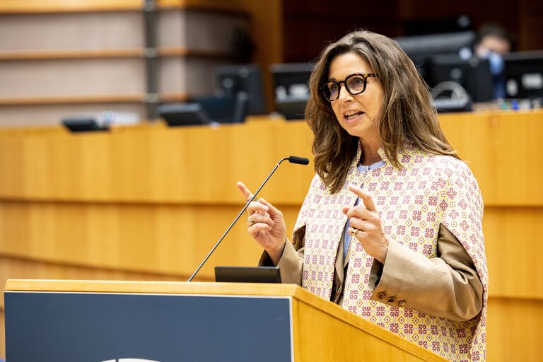 EP Plenary session - Soil protection