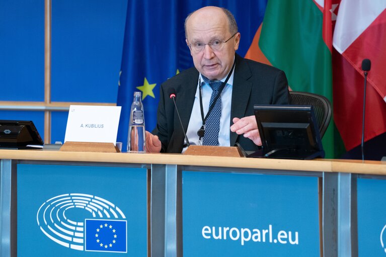 Fotografie 30: Ninth Ordinary Session of the Euronest Parliamentary Assembly - Formal Opening