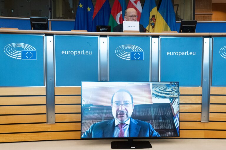 Fotografie 39: Ninth Ordinary Session of the Euronest Parliamentary Assembly - Formal Opening