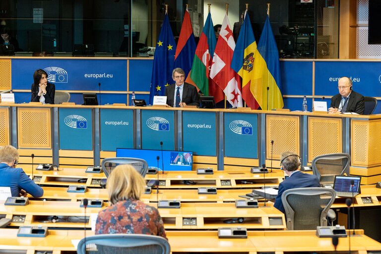 Fotografie 18: Ninth Ordinary Session of the Euronest Parliamentary Assembly - Formal Opening