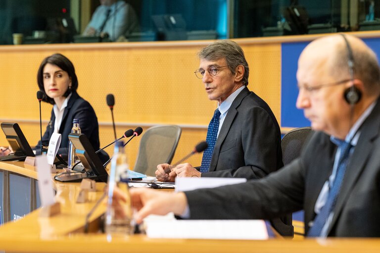 Fotografie 21: Ninth Ordinary Session of the Euronest Parliamentary Assembly - Formal Opening