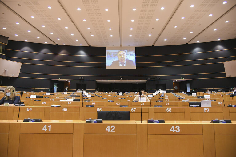 AIDA-AFET joint Committee - hearing on the external policy dimension of AI