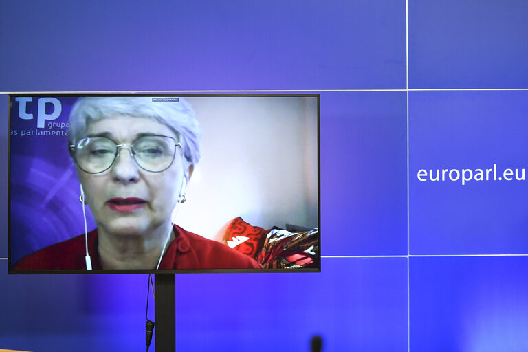 INGE Committee press conference - Foreign interference in EU democratic processes: lessons from the committee's work so far