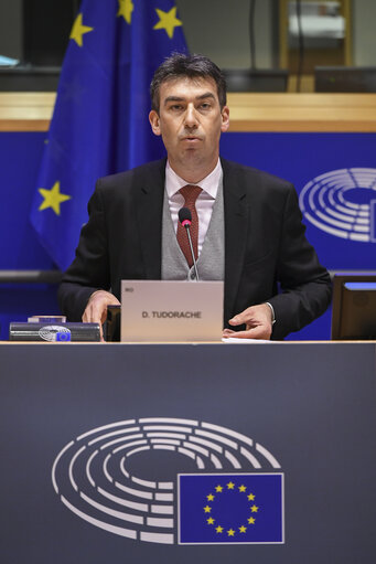 AIDA-AFET joint Committee - hearing on the external policy dimension of AI