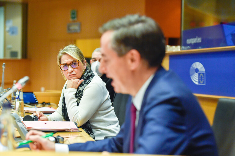 Photo 21: CDC meeting  - Exchange of views with AFET chair David McALLISTER