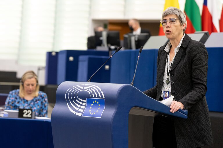 Φωτογραφία 41: EP Plenary session - Trans-European energy infrastructure