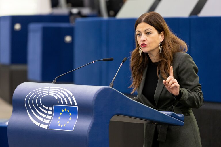 Φωτογραφία 24: EP Plenary session - Trans-European energy infrastructure