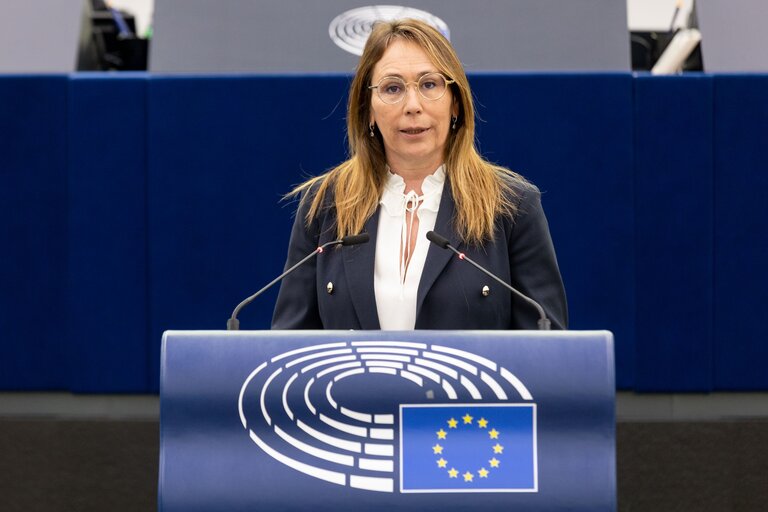 Φωτογραφία 23: EP Plenary session - Trans-European energy infrastructure