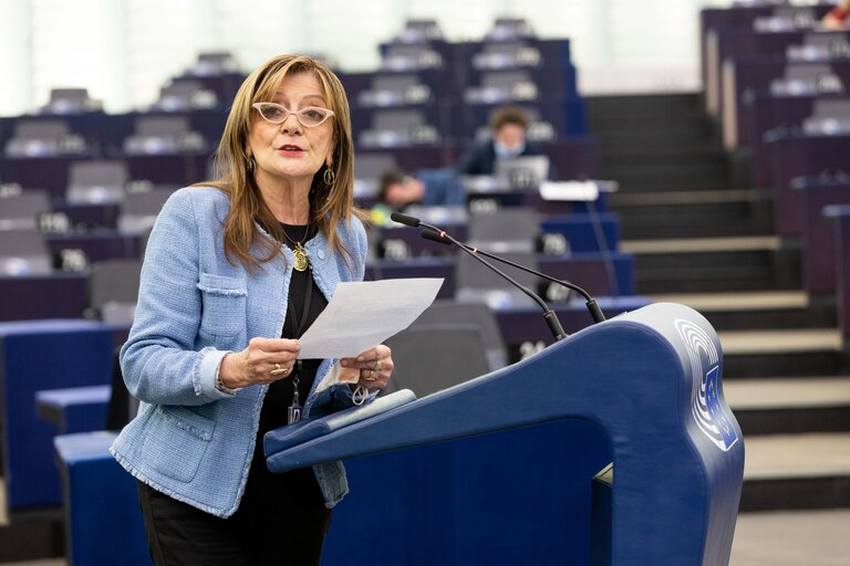 Photo 21: EP Plenary session - Trans-European energy infrastructure